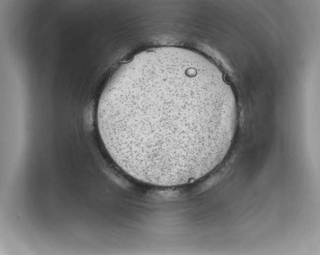 X0000112480065200909141152