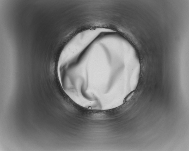 X0000112480066200909141152