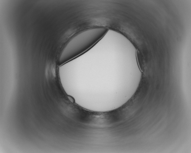 X0000112480068200909141152