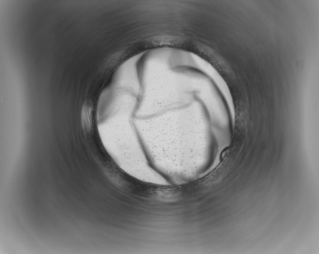 X0000112480070200909141152