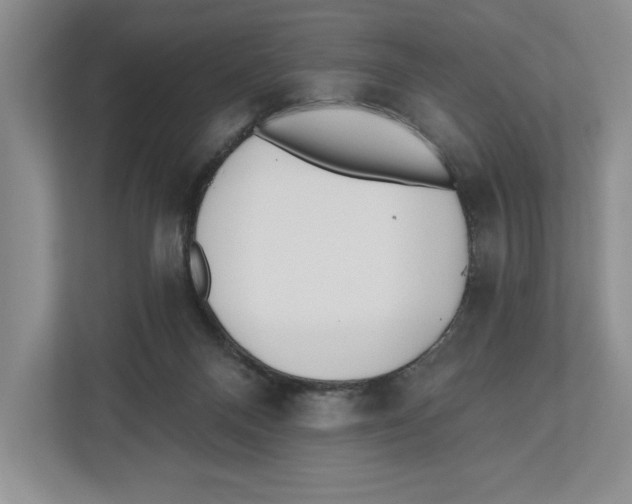 X0000112480120200909141151