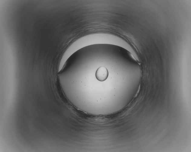 X0000112480121200909141151