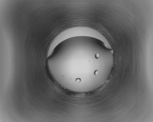 X0000112480124200909141151