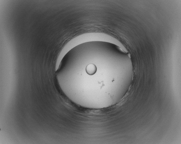 X0000112480132200909141151