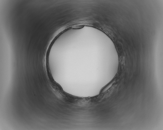 X0000112480148200909141150