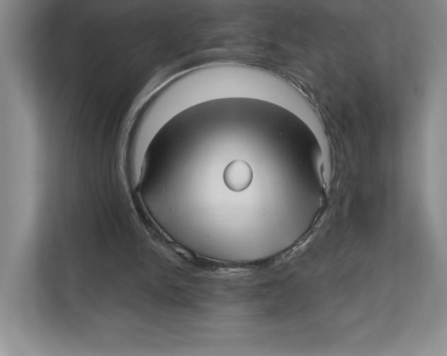 X0000112480150200909141150