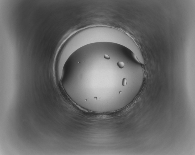 X0000112480152200909141150