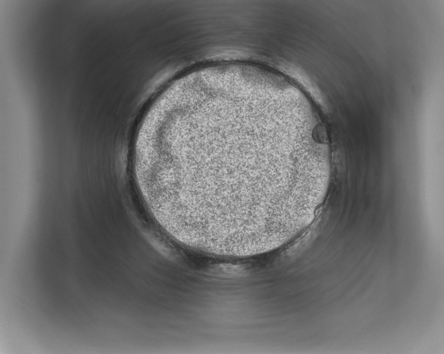 X0000112480159200909141151