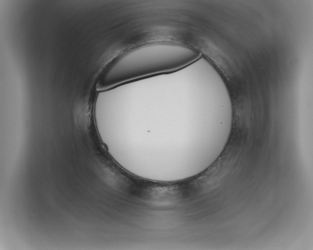 X0000112480160200909141151