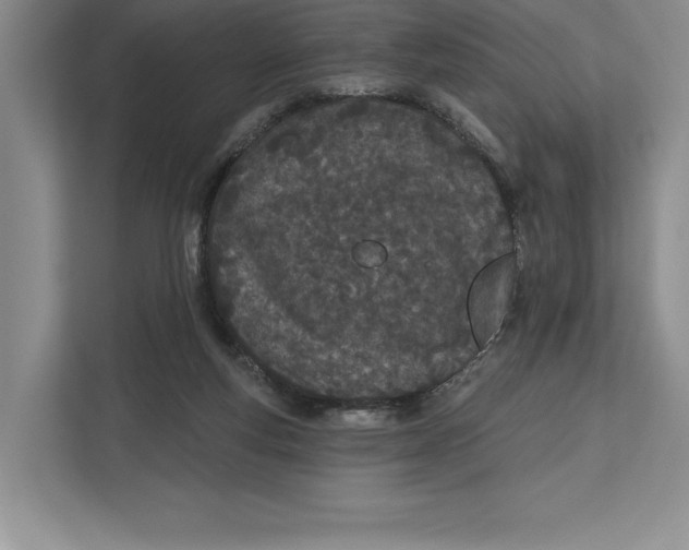 X0000112480163200909141151