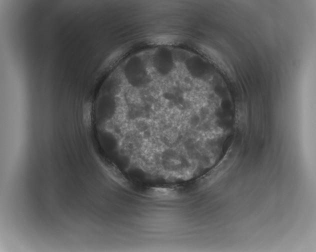 X0000112480167200909141151