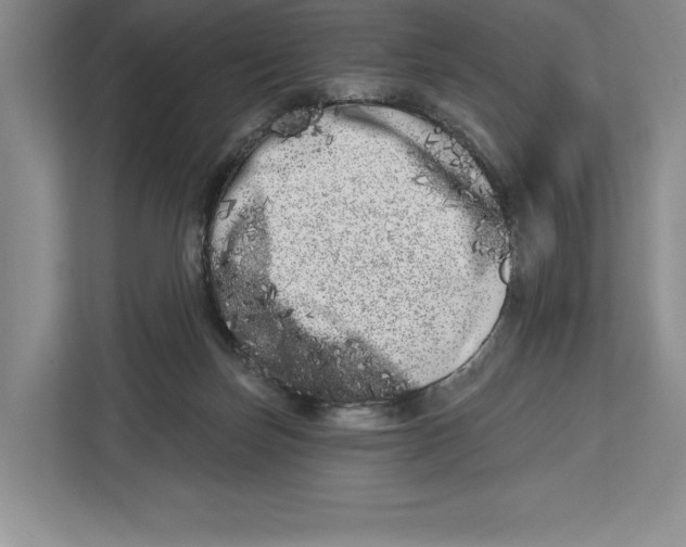 X0000112480171200909141151