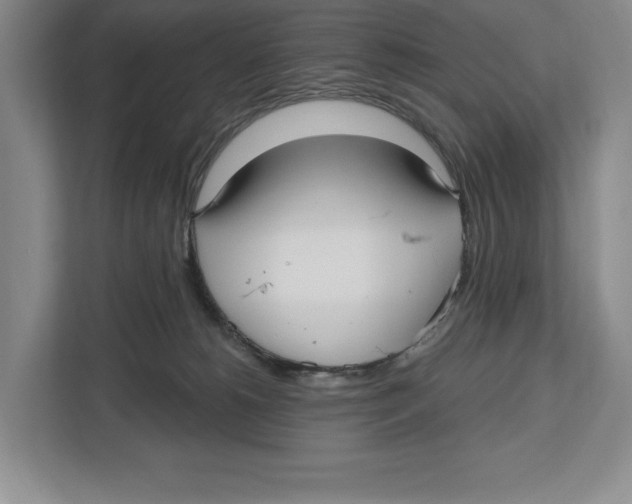 X0000112480180200909141151