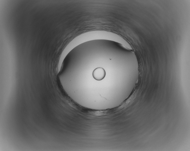 X0000112480184200909141151