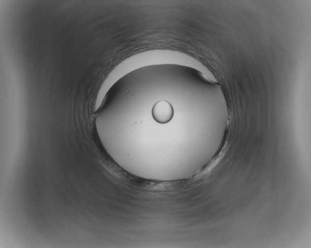 X0000112480186200909141151