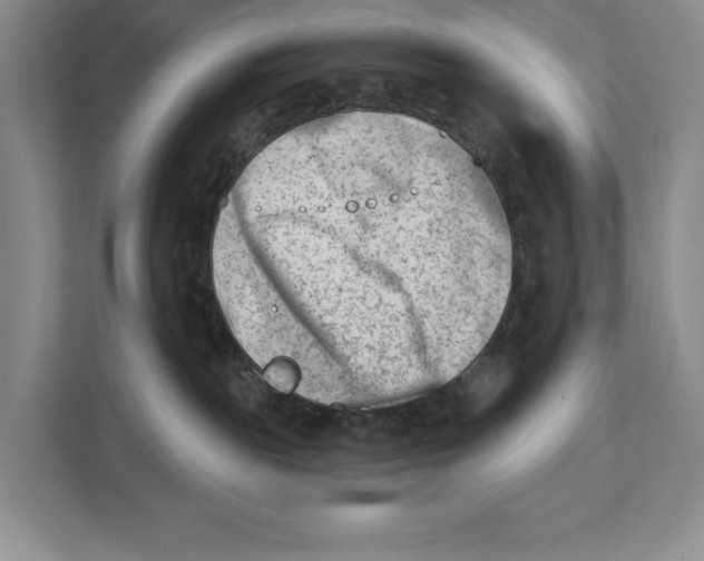 X0000112480189200909141151