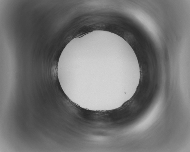 X0000112480190200909141151