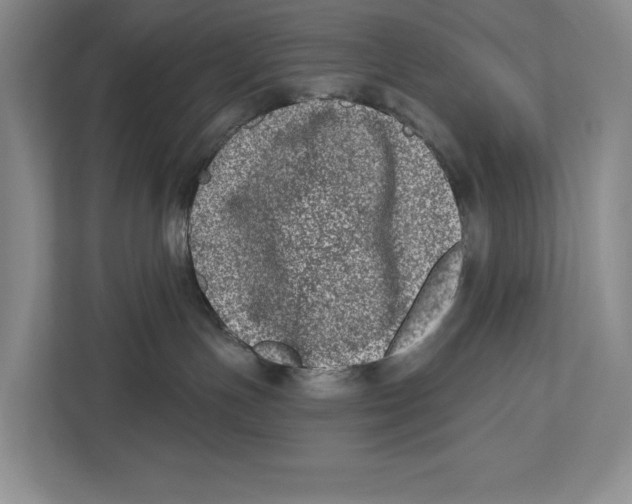 X0000112480191200909141151