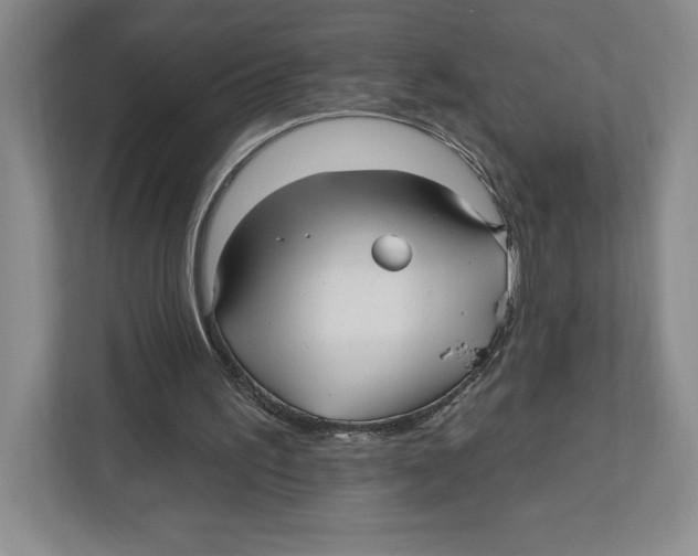 X0000112480195200909141150