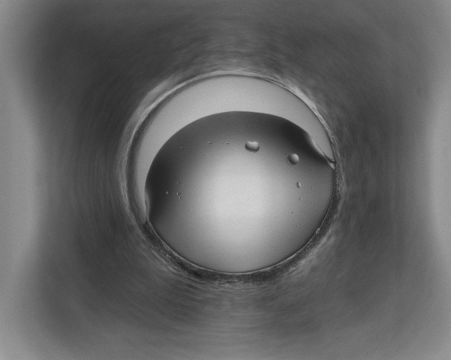 X0000112480199200909141150