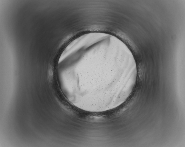 X0000112480208200909141150