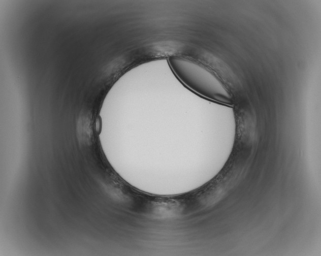 X0000112480215200909141150