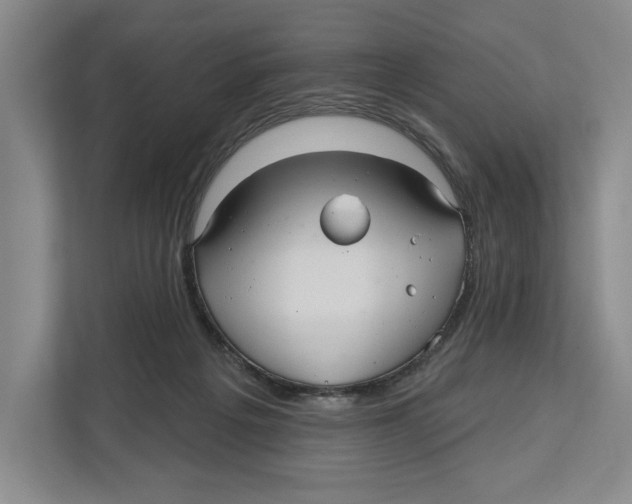 X0000112480217200909141150