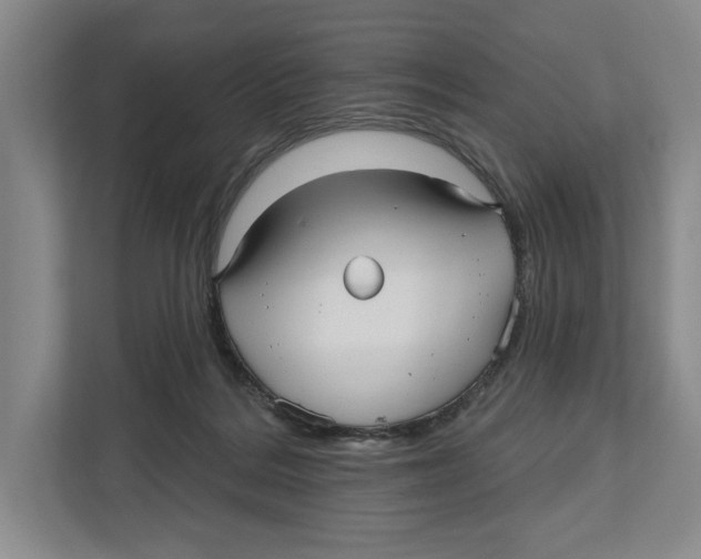 X0000112480220200909141150