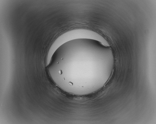 X0000112480221200909141150