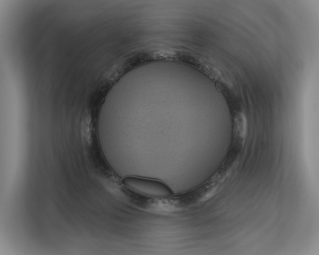 X0000112480223200909141150