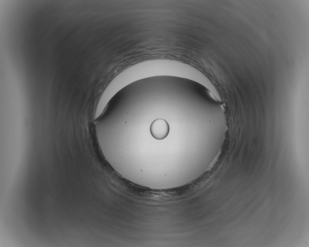 X0000112480229200909141150