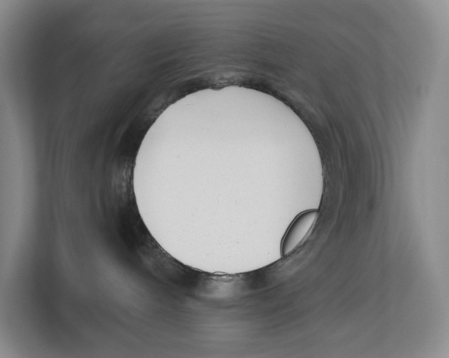 X0000112480240200909141150