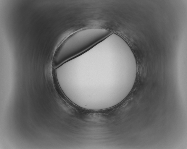 X0000112480244200909141149