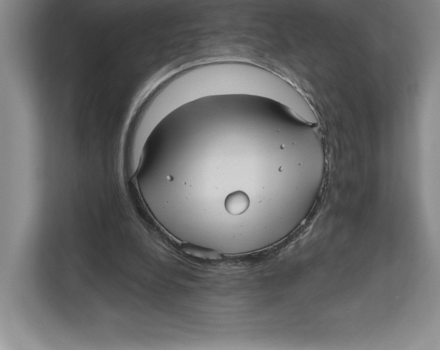 X0000112480248200909141149