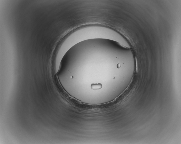 X0000112480252200909141149