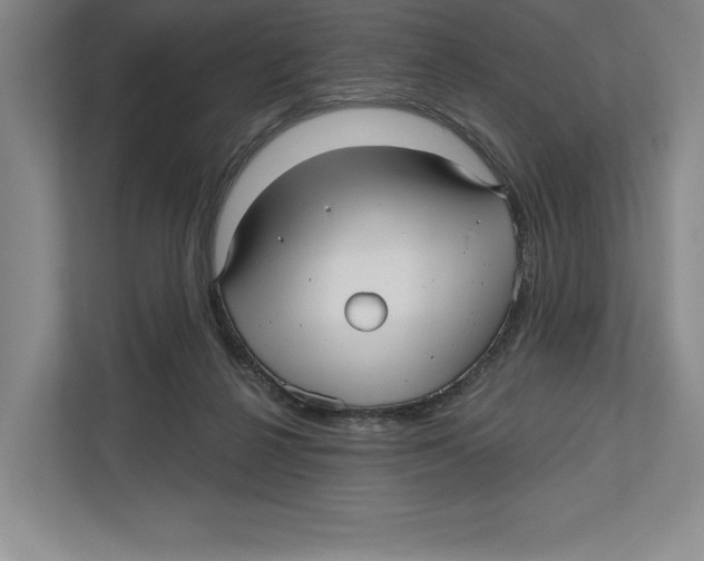 X0000112480264200909141149