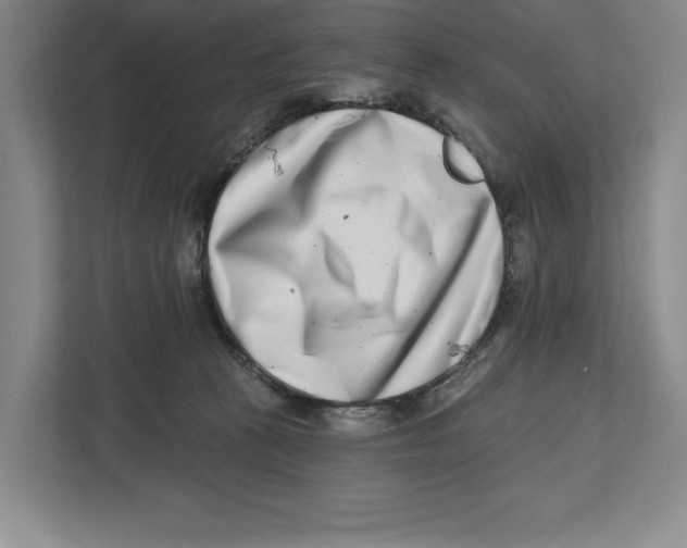 X0000112480273200909141150