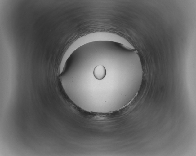 X0000112480280200909141150