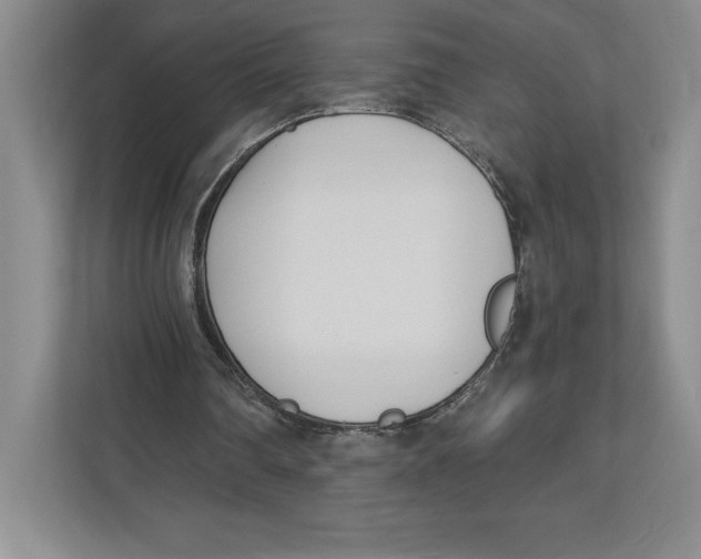 X0000112480290200909141149