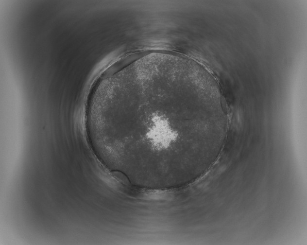 X0000112480293200909141149