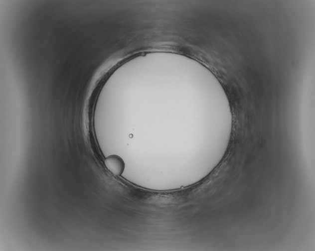 X0000112480294200909141149