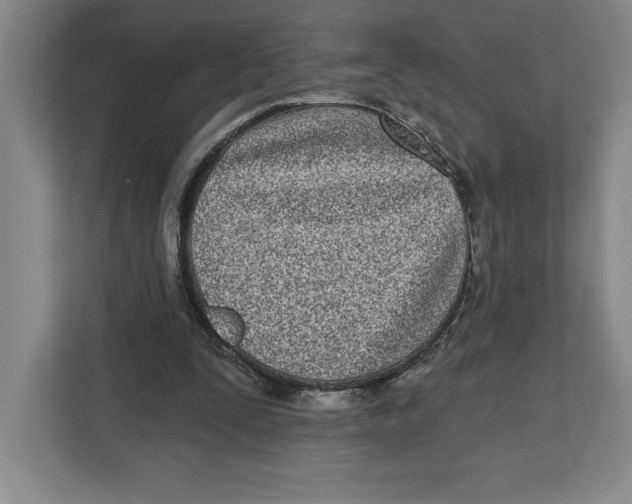 X0000112480295200909141149