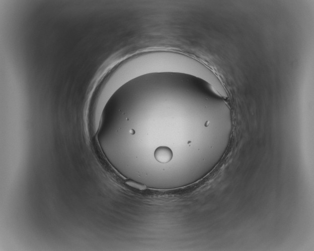 X0000112480296200909141149