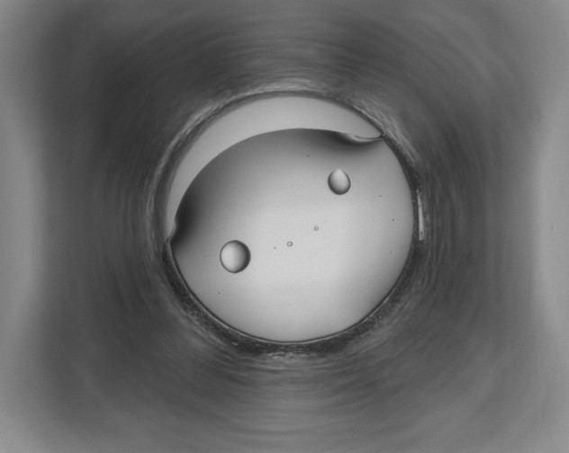 X0000112480300200909141149