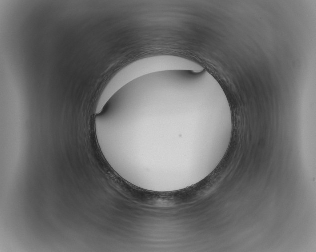 X0000112480308200909141149