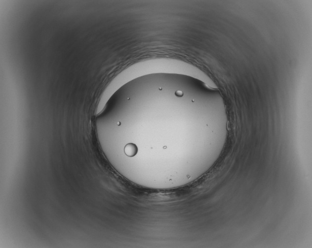 X0000112480320200909141149