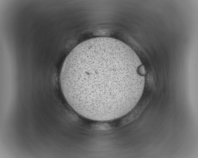 X0000112480322200909141149