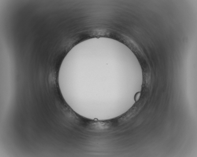 X0000112480326200909141149