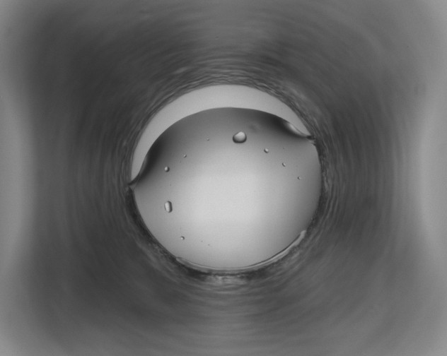 X0000112480327200909141149