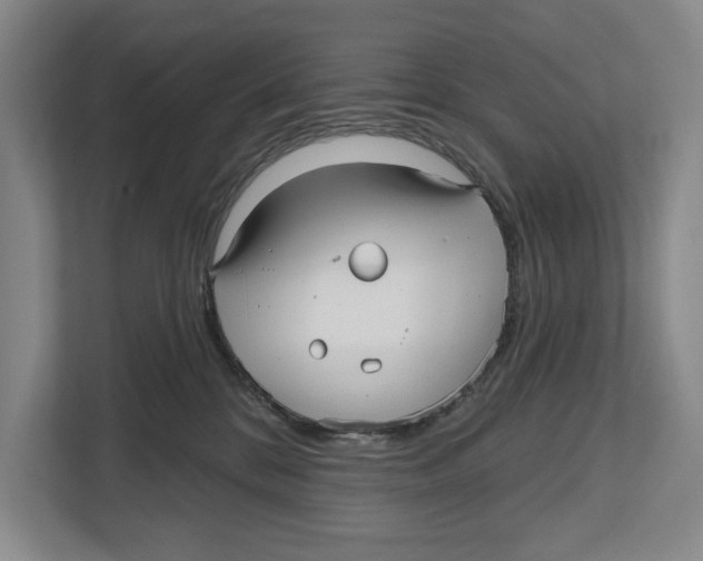 X0000112480328200909141149